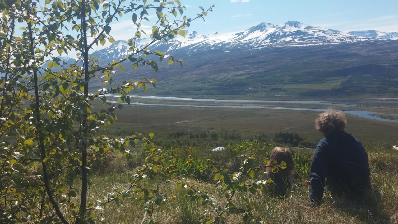 Iceland Yurt Akureyri Exterior foto