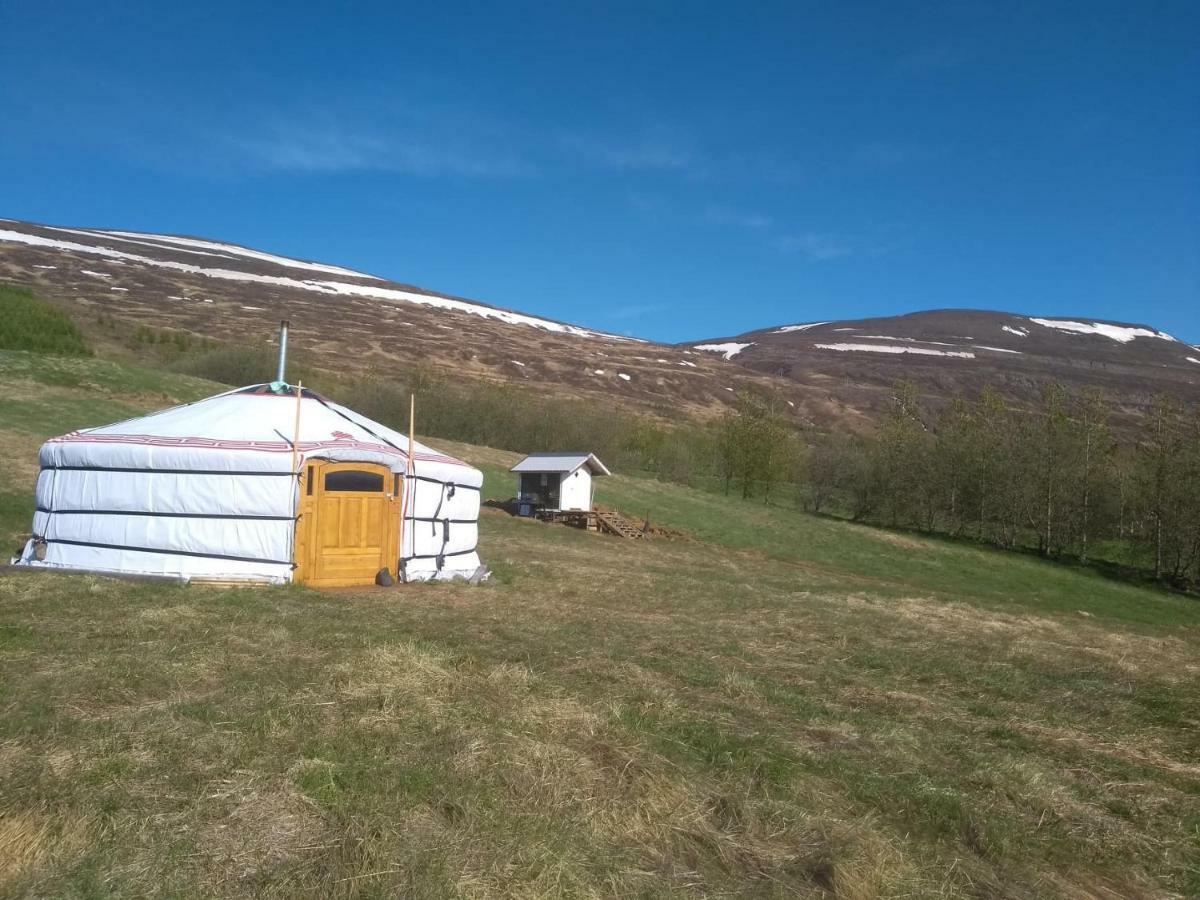 Iceland Yurt Akureyri Exterior foto